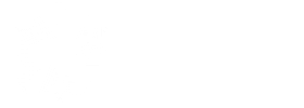 TongYi